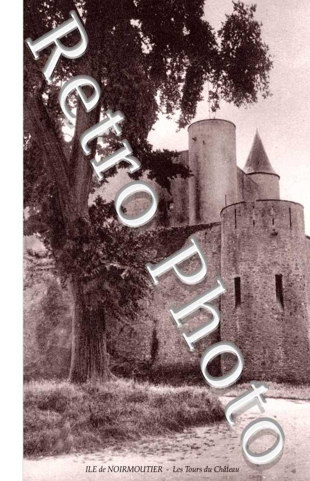 Les Tours du Château