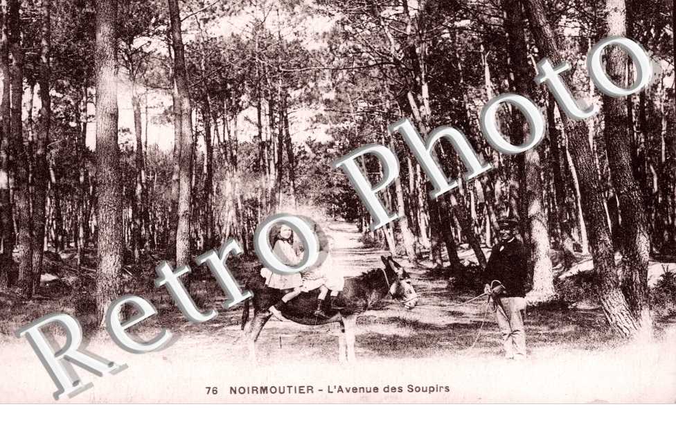 L'avenue des Soupirs