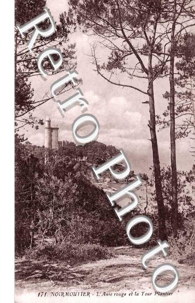 Bois de la Chaise L'anse rouge et la tour Plantier