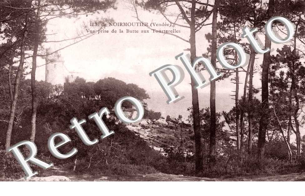 Bois de la Chaise L'anse rouge et la tour Plantier Vue prise de la Butte aux Tourterelles