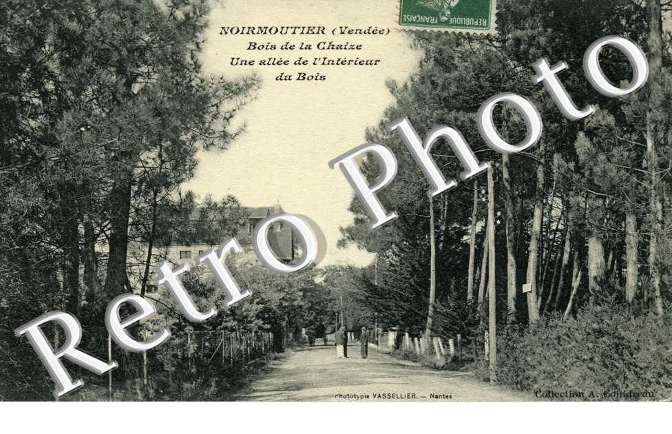 bois de la Chaise, une allee de l'interieur du bois