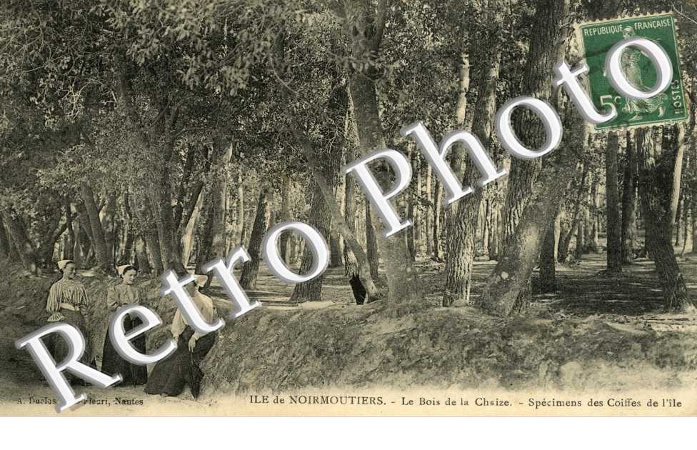 Le Bois de la Chaise Specimens des Coiffes de l'Ile