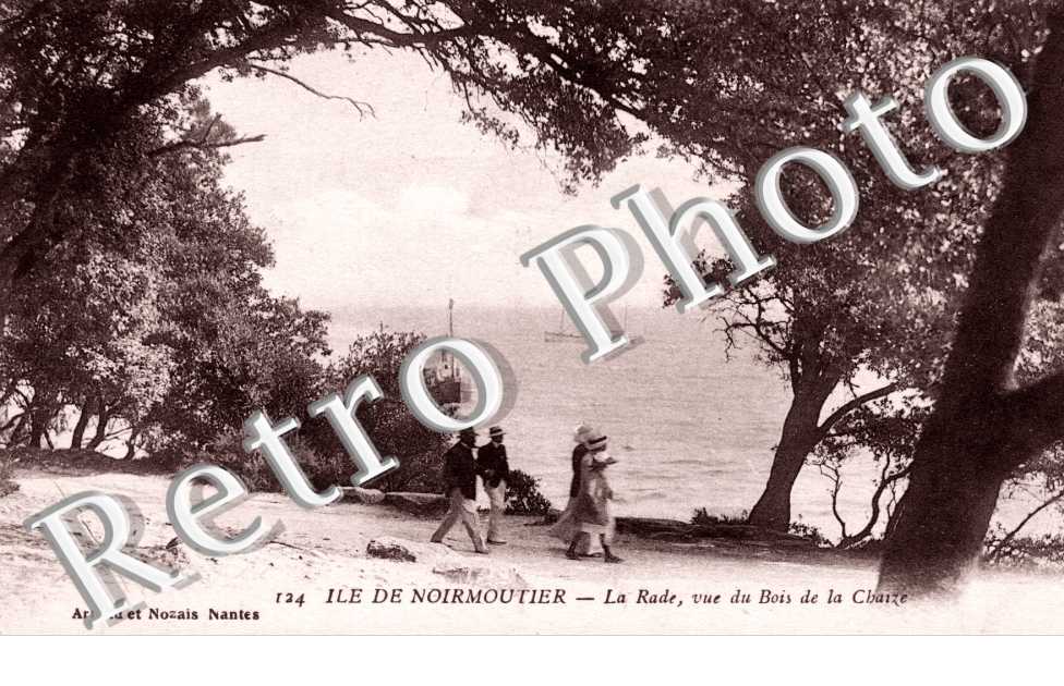 la Rade vue du Bois de la Chaize