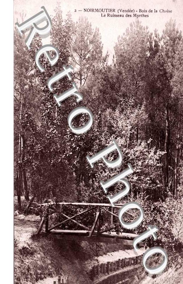 Bois de la Chaize - Le Ruisseau des Myrthes