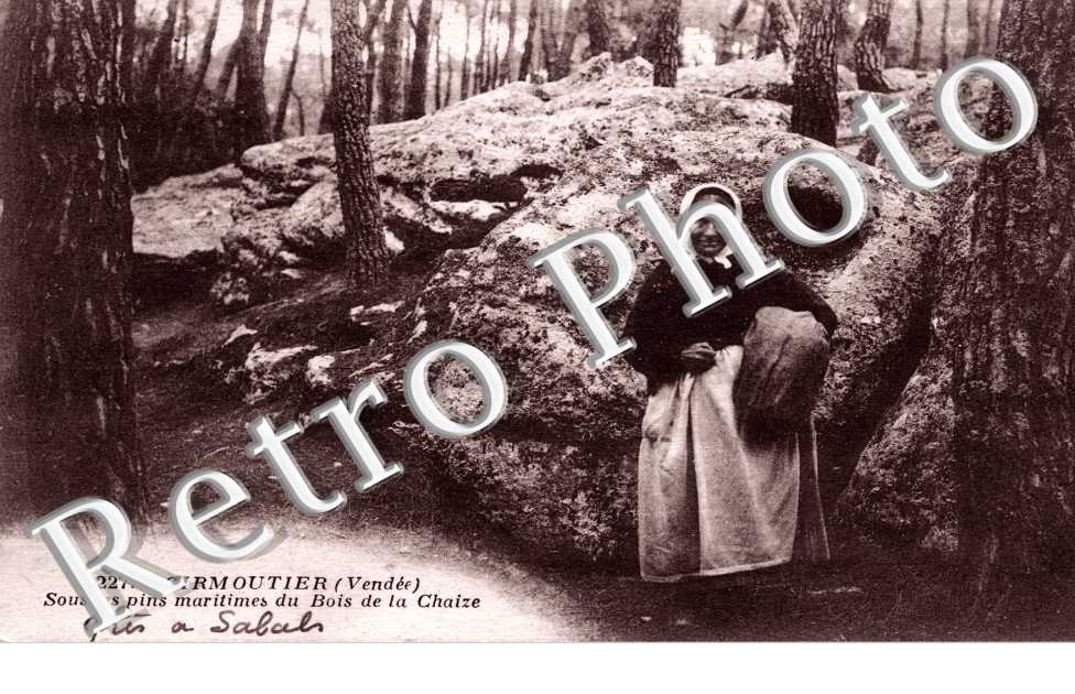 sous les pins maritimes du Bois de la Chaize