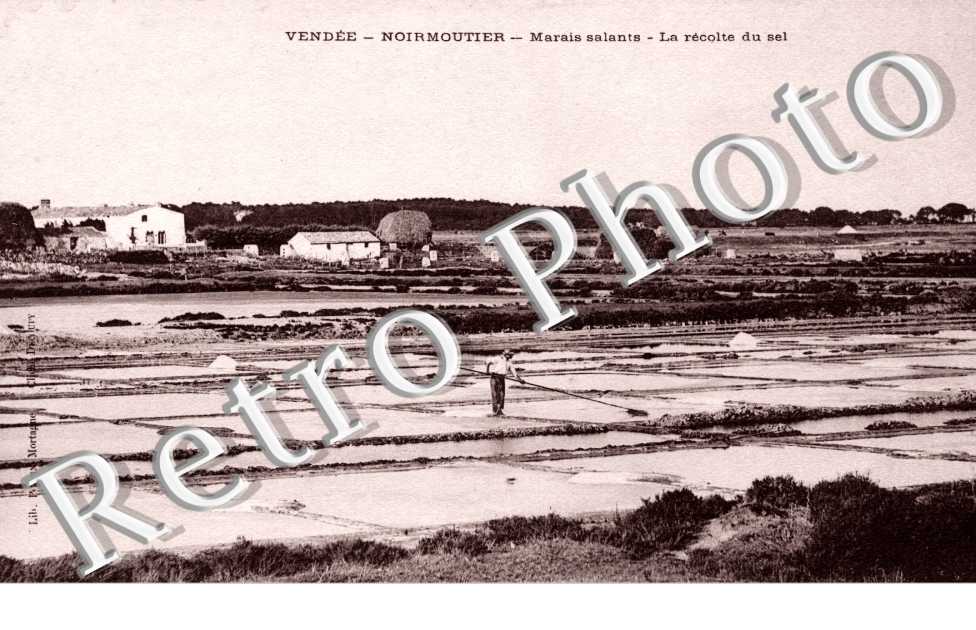La recolte du sel