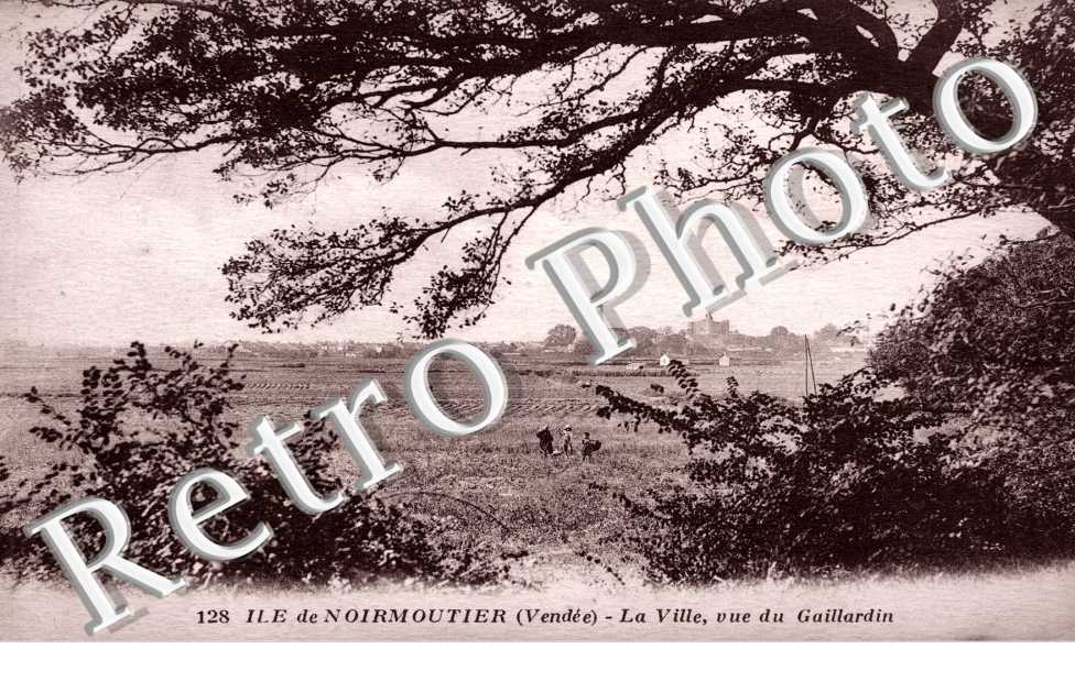 La Ville vue du Gaillardin