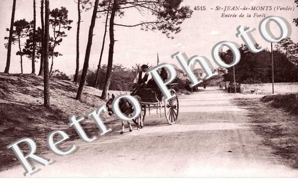 l'Entree de la Foret