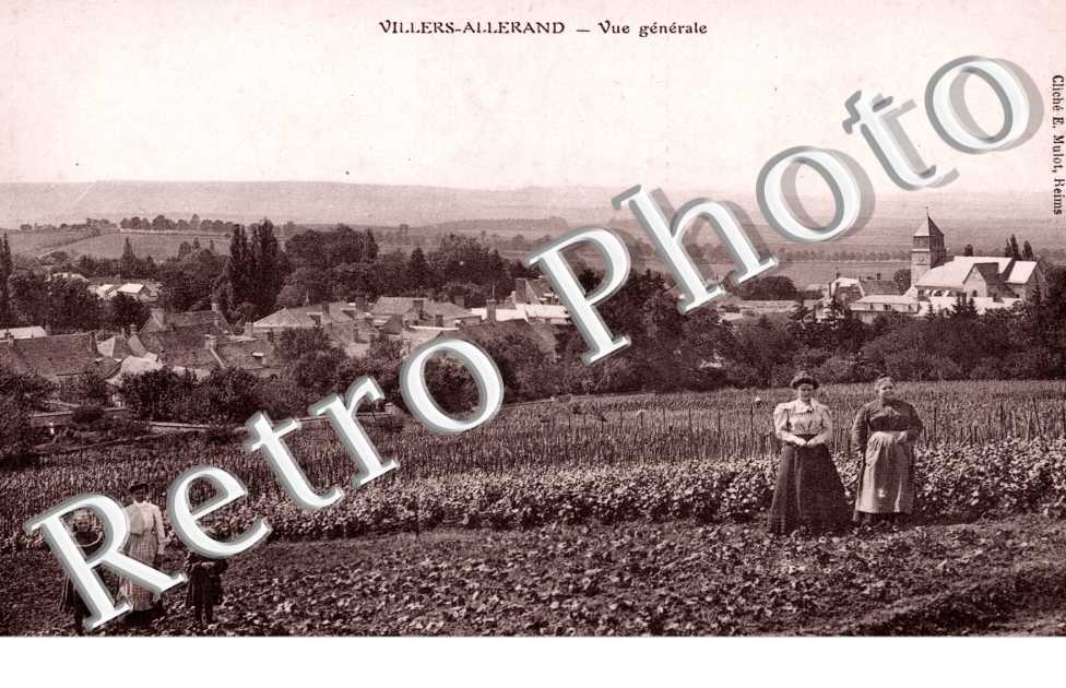 Vue generale