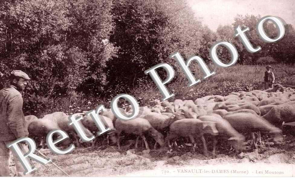 Les Moutons