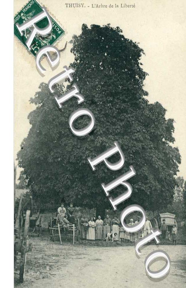 Thuisy - Arbre de la Liberte