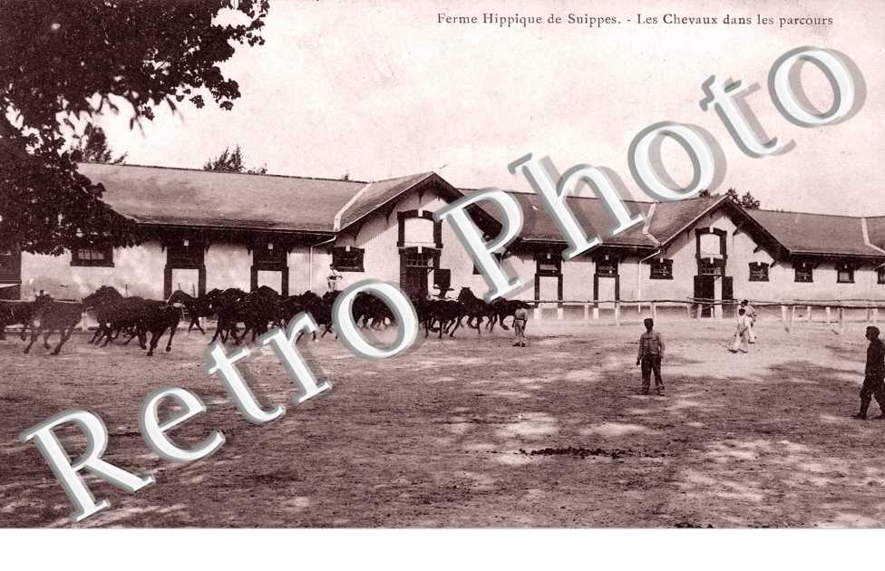 Ferme hippique
