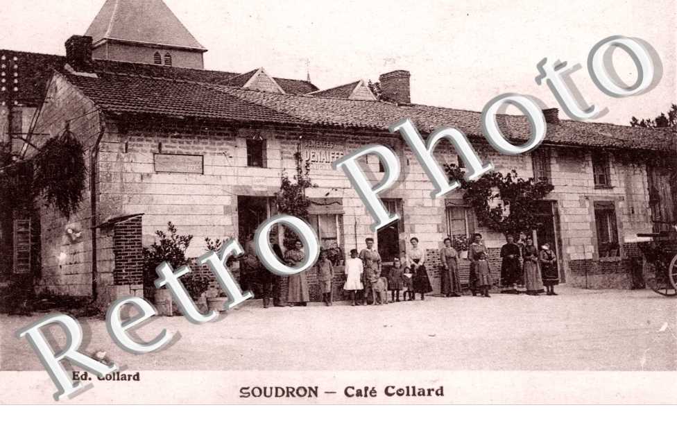 Cafe Collard