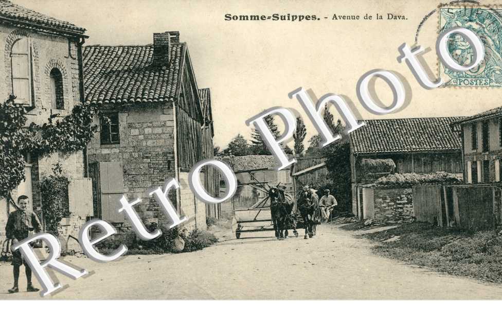 Avenue de la Dava