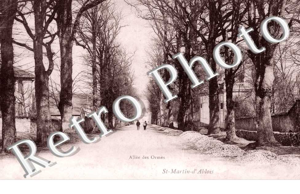Allee des Ormes