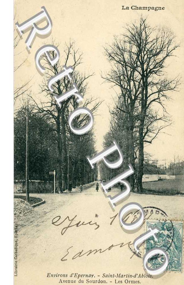 Avenue du Sourdon, les Ormes