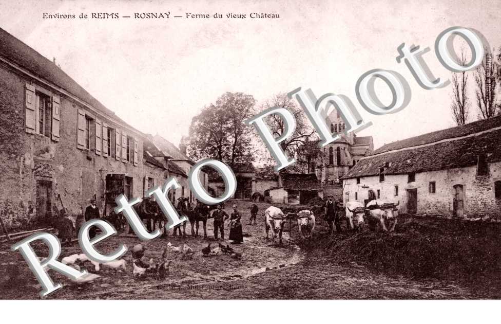 Ferme du Vieux Chateau