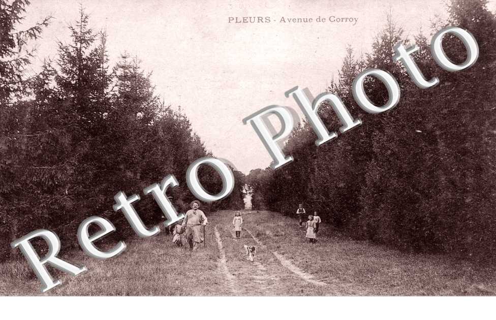 avenue de Corroy