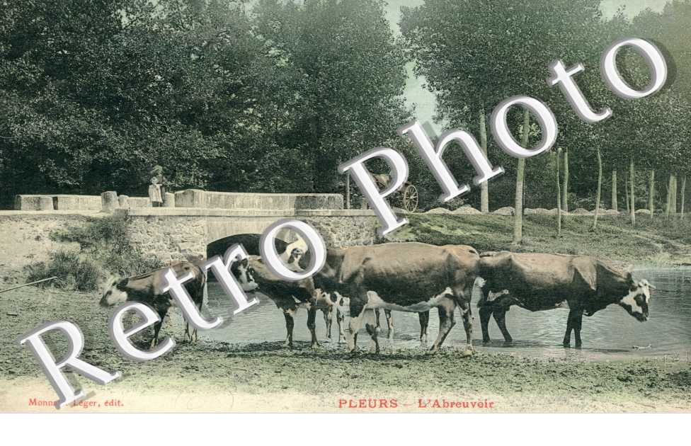 l'abreuvoir