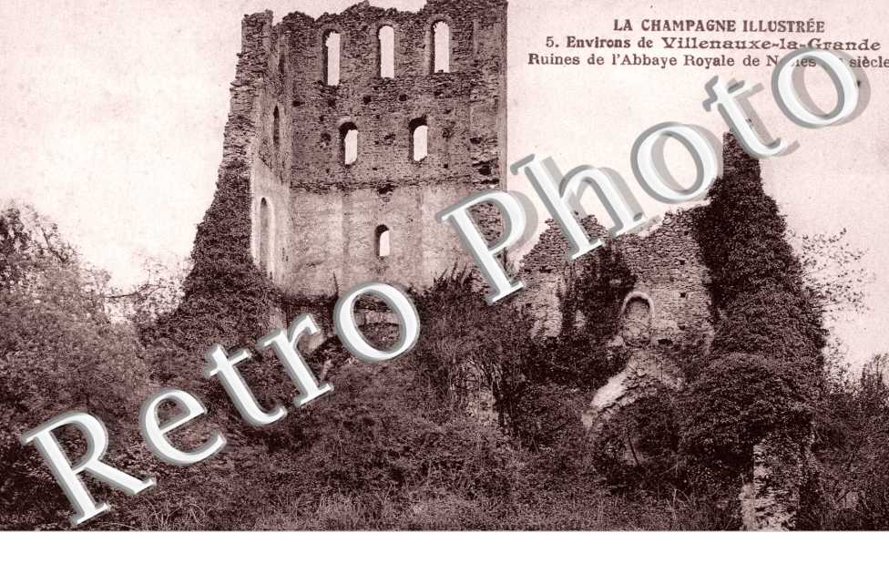 Ruines de l'Abbaye Royale
