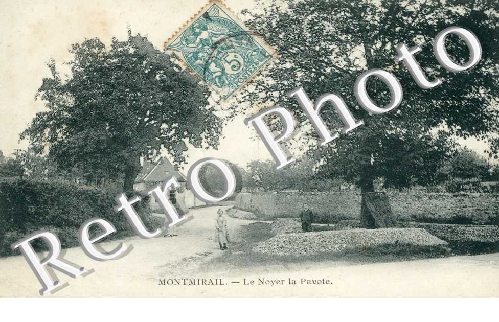 Noyer la Pavote