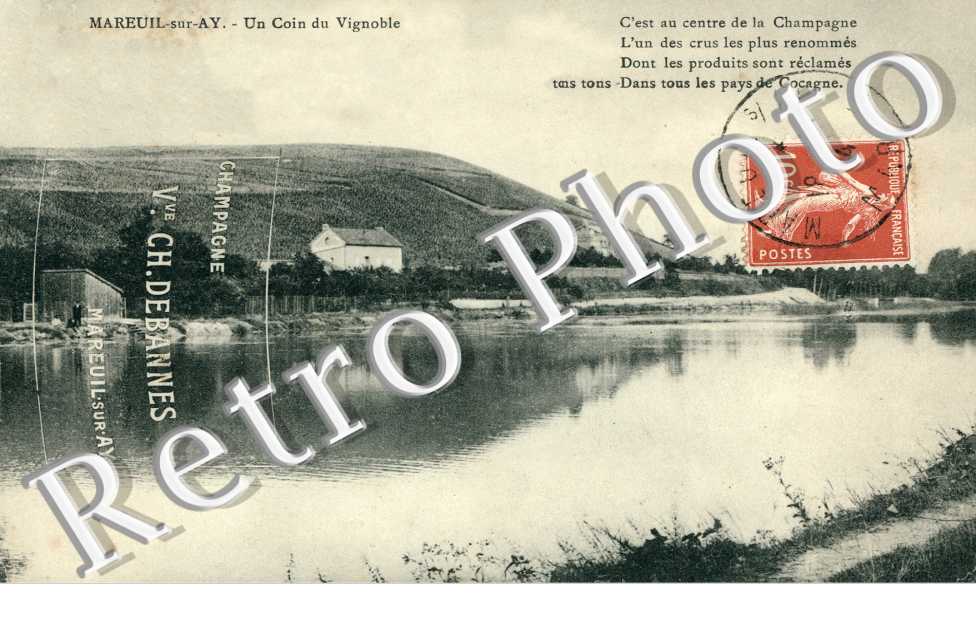Un coin du vignoble