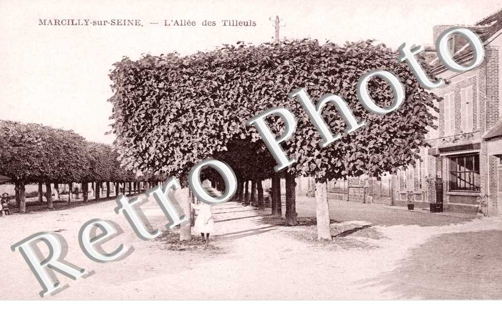 Alee des Tilleuls