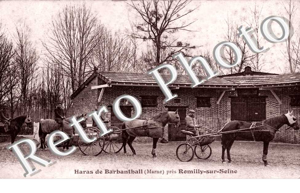 Haras de Barbanthall pres Romilly-sur-Seine