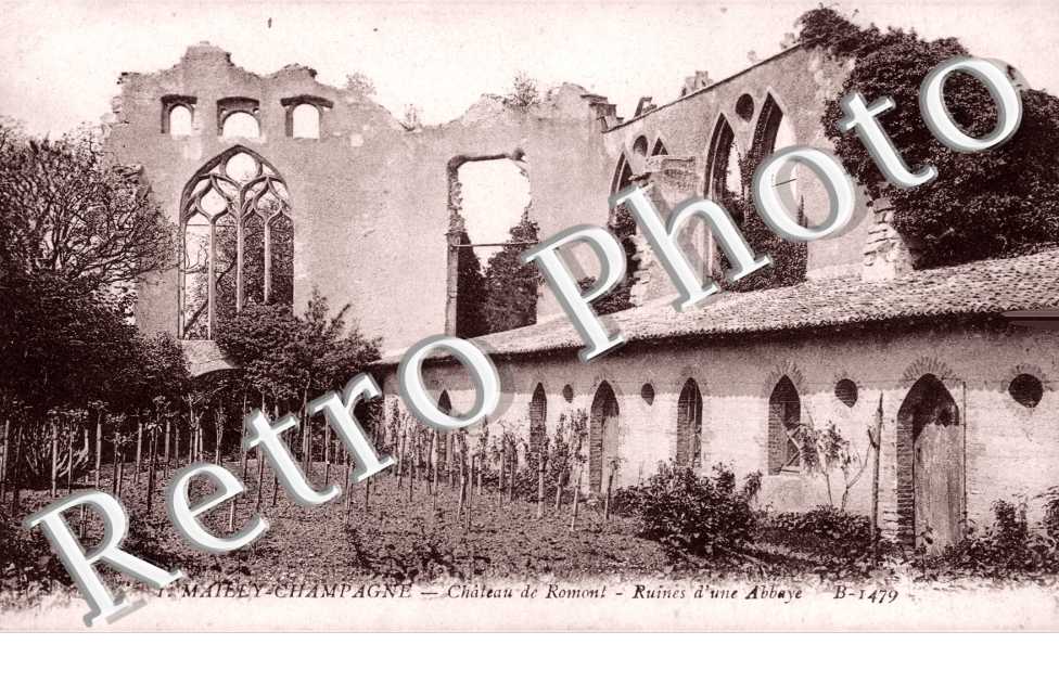 Chateau de Romont - Ruines d'une Abbaye