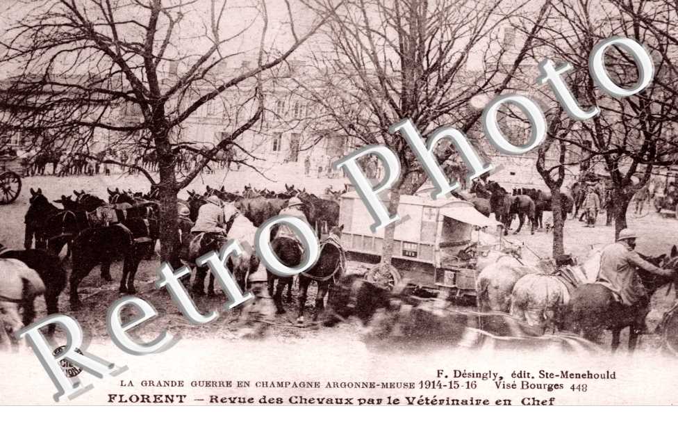 Revue des Chevaux par le Veterinaire en chef