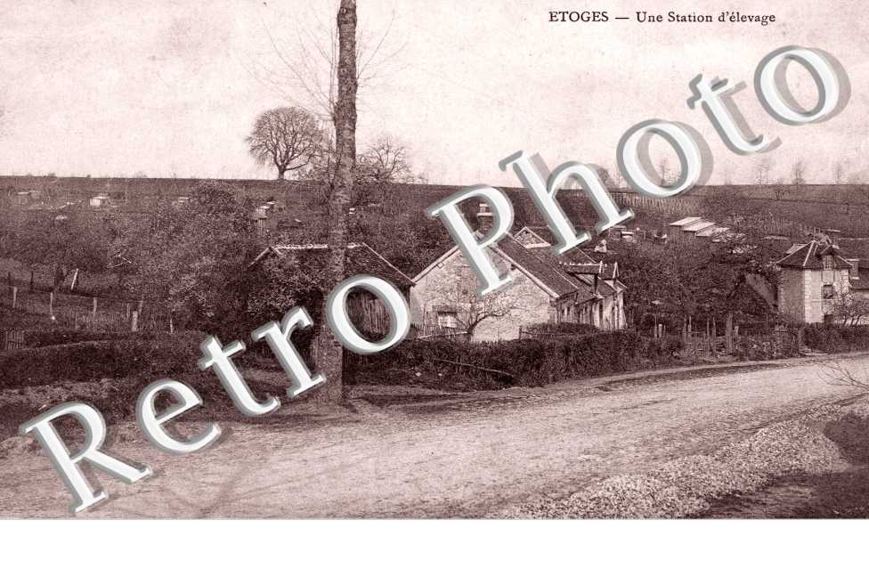 Une Station d'elevage