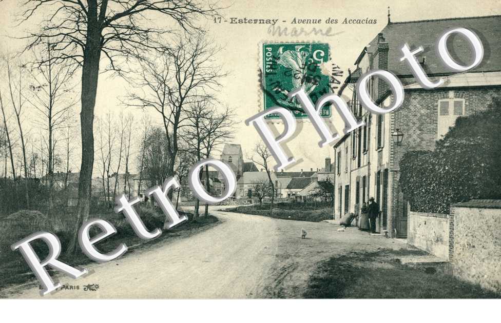 Avenue des accacias