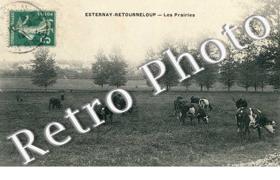 Les prairies