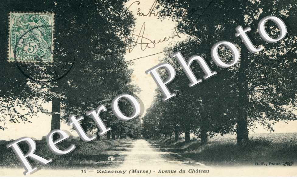 Le Chateau - Avenue
