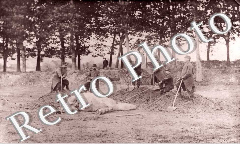 enterrement d'un cheval