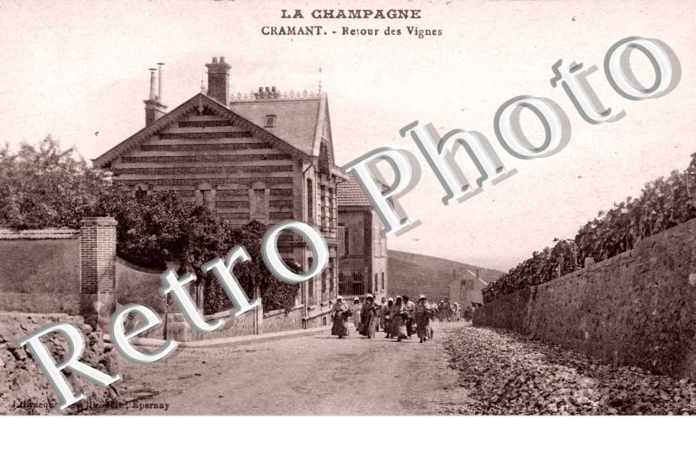 Retour des Vignes