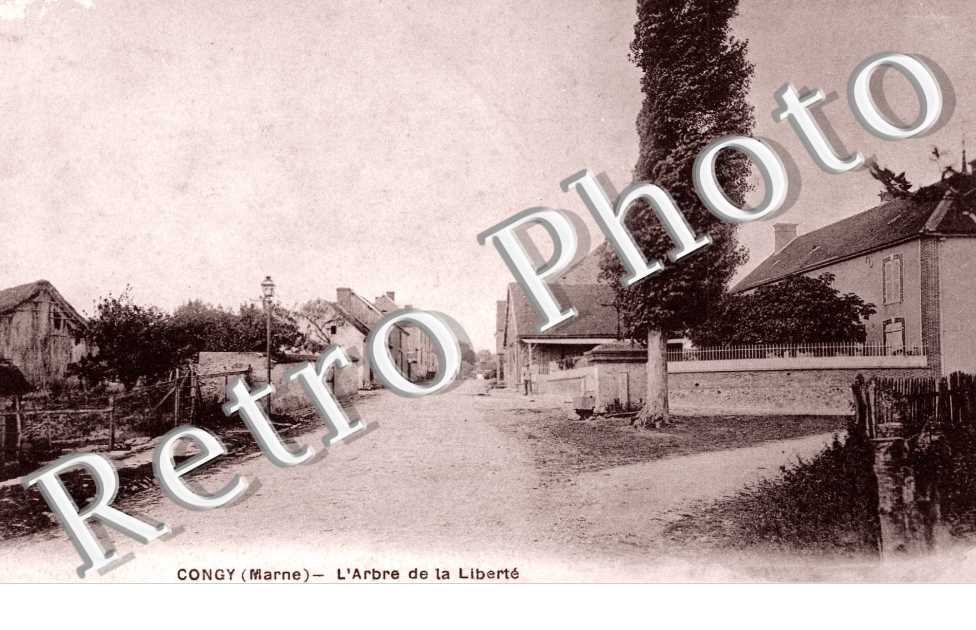 L'Arbre de la Liberte