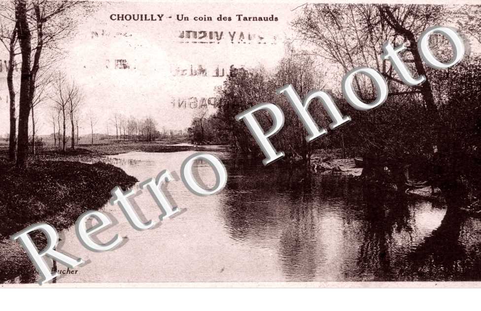 Un coin des Tarnauds