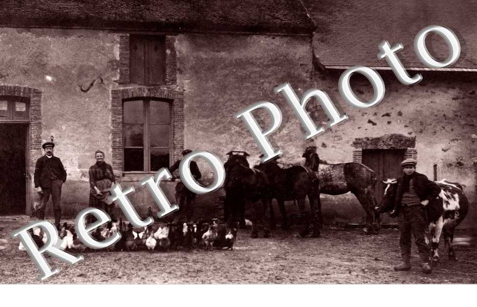 Intérieur d'une cour de ferme