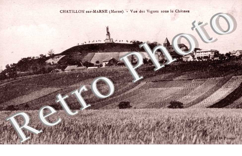 Vue des vignes sous le chateau