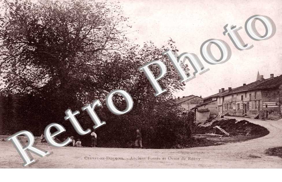 anciens fosses et orme de Rosny