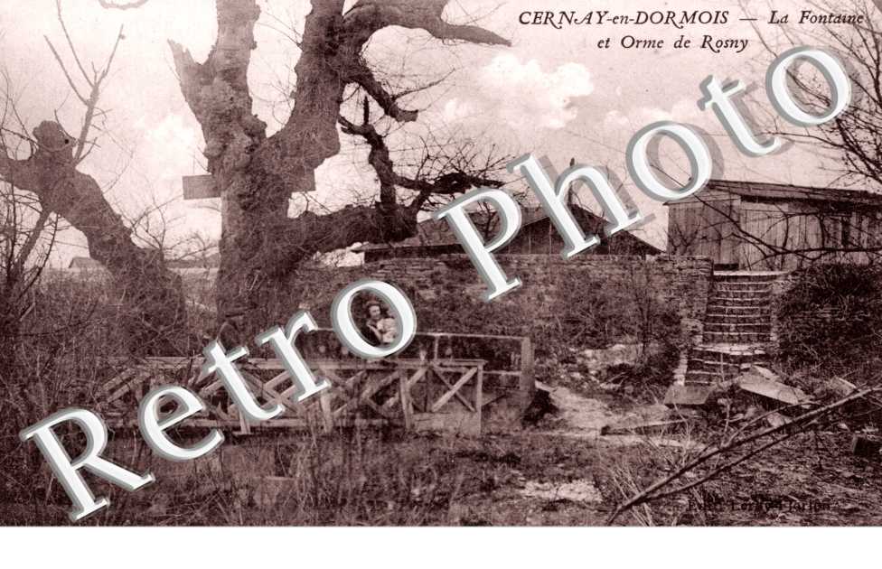 Cernay-en-Dormois, la Fontaine et Orme de Rosny