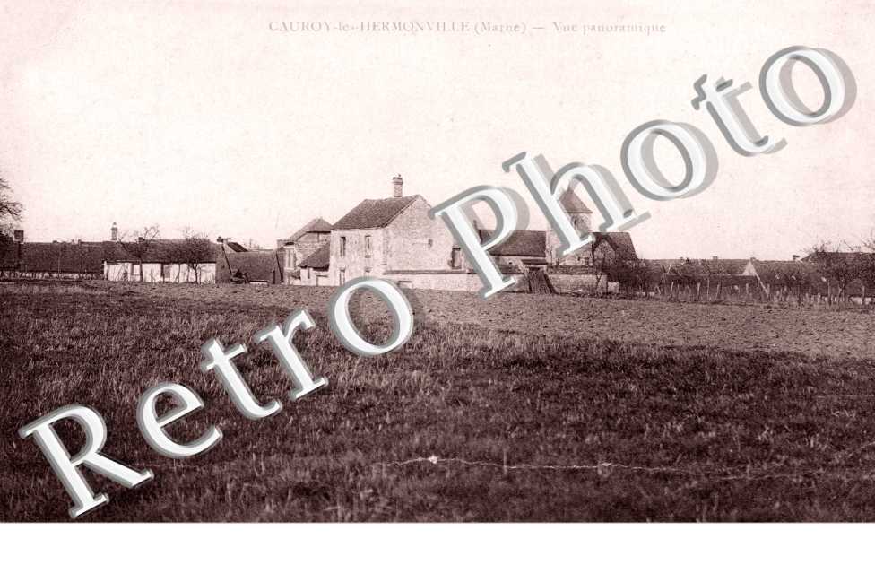 Cauroy-les-Hermonville, Vue Panoramique