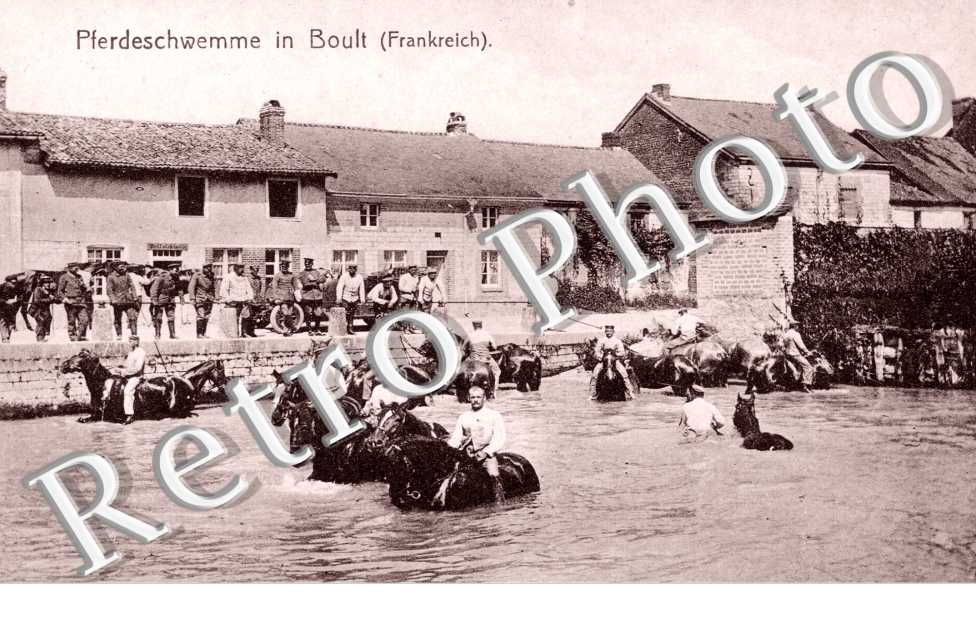 Pferdeschwemme