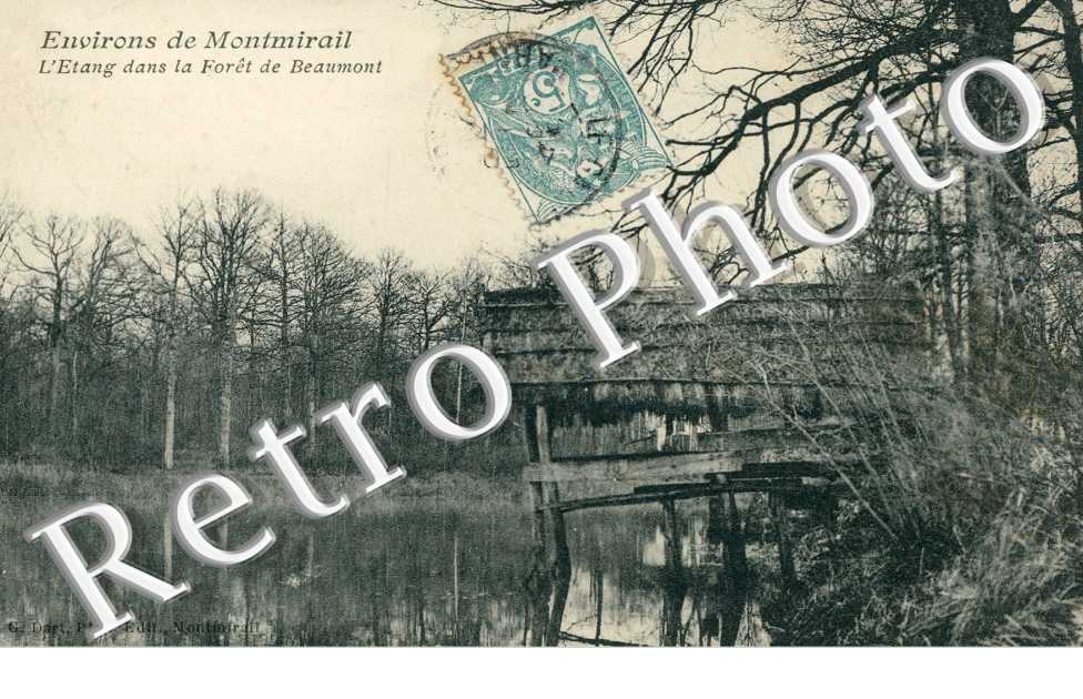 L'Etang dans la Foret de Beaumont