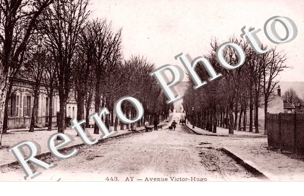 Avenue Victor Hugo