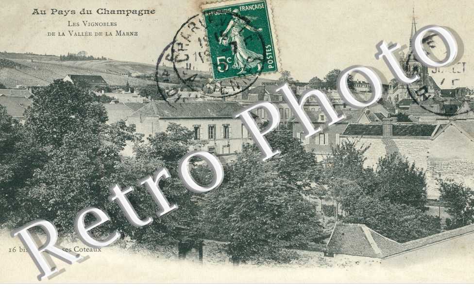 Les vignobles de la Vallee de la Marne