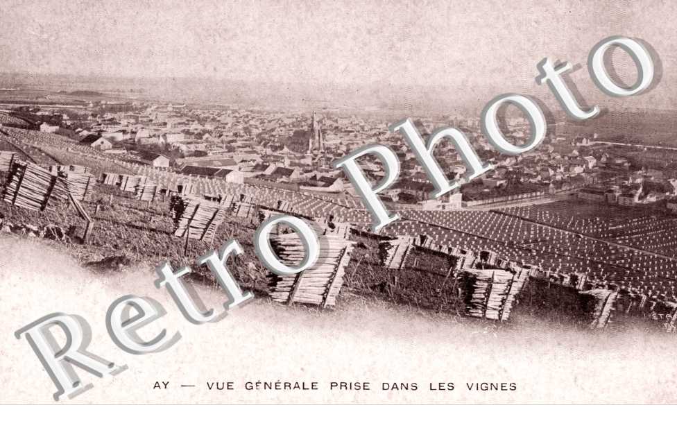 Vue generale prise dans les Vignes