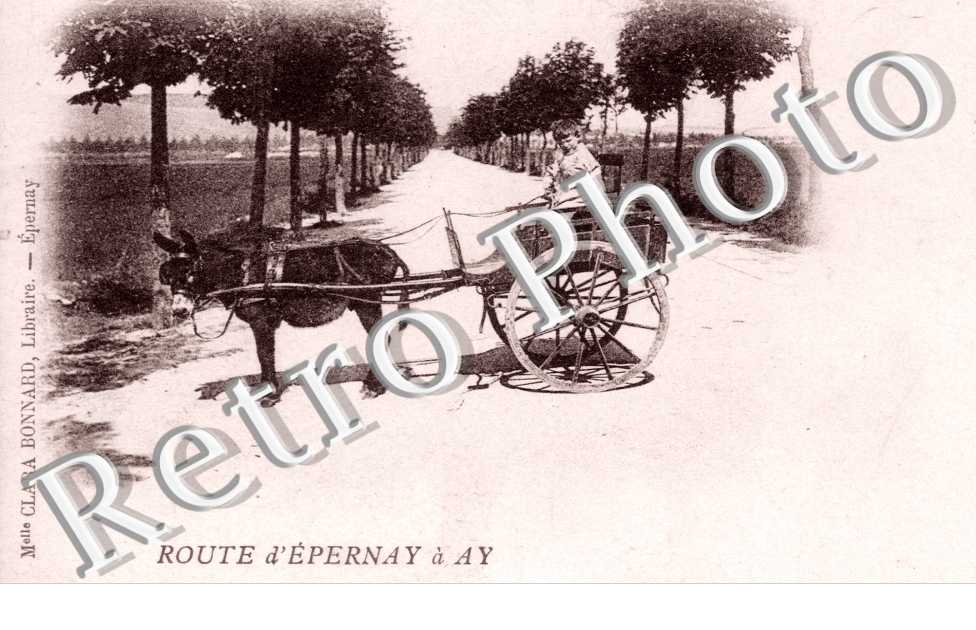 Route d'Epernay a Ay