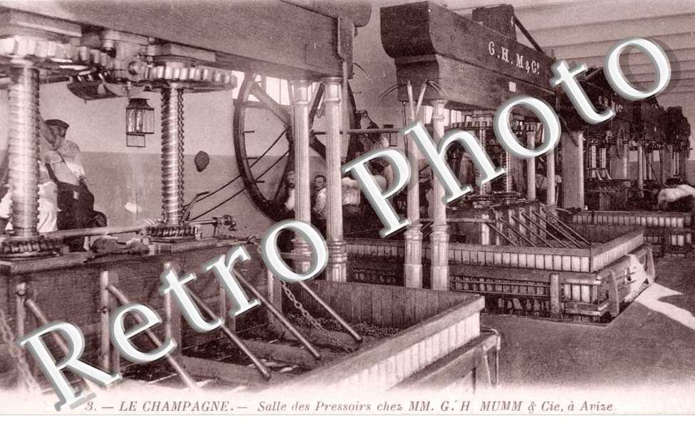 Salle des Pressoirs chez MM. GH Mumm et Cie